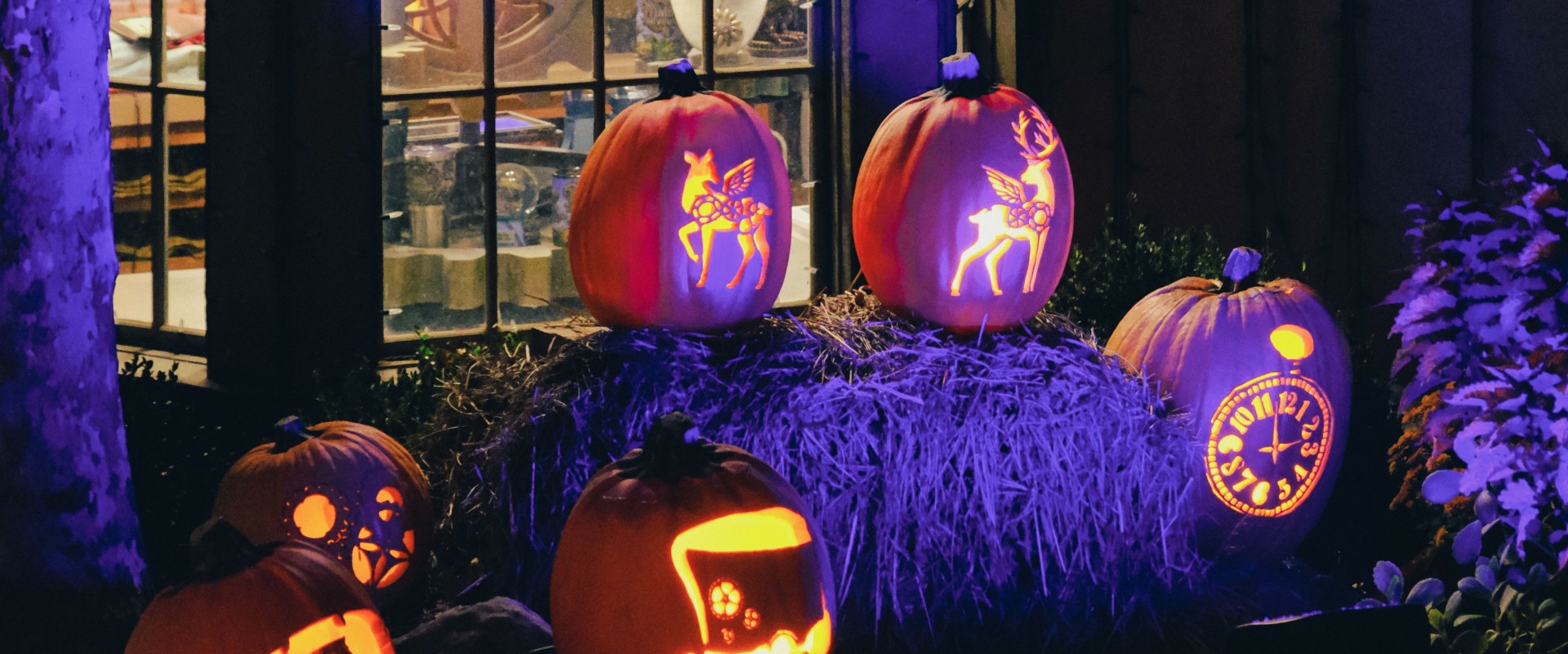 Experience Paso Robles: Brewery Tours & Haunted Thrills