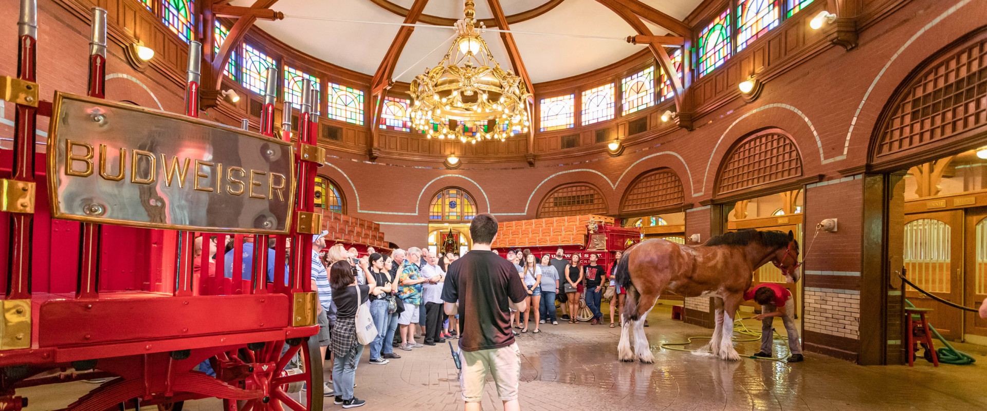 How long is the budweiser brewery tour?