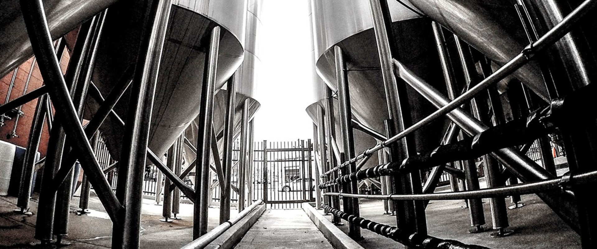 How to start a brewery tour business?
