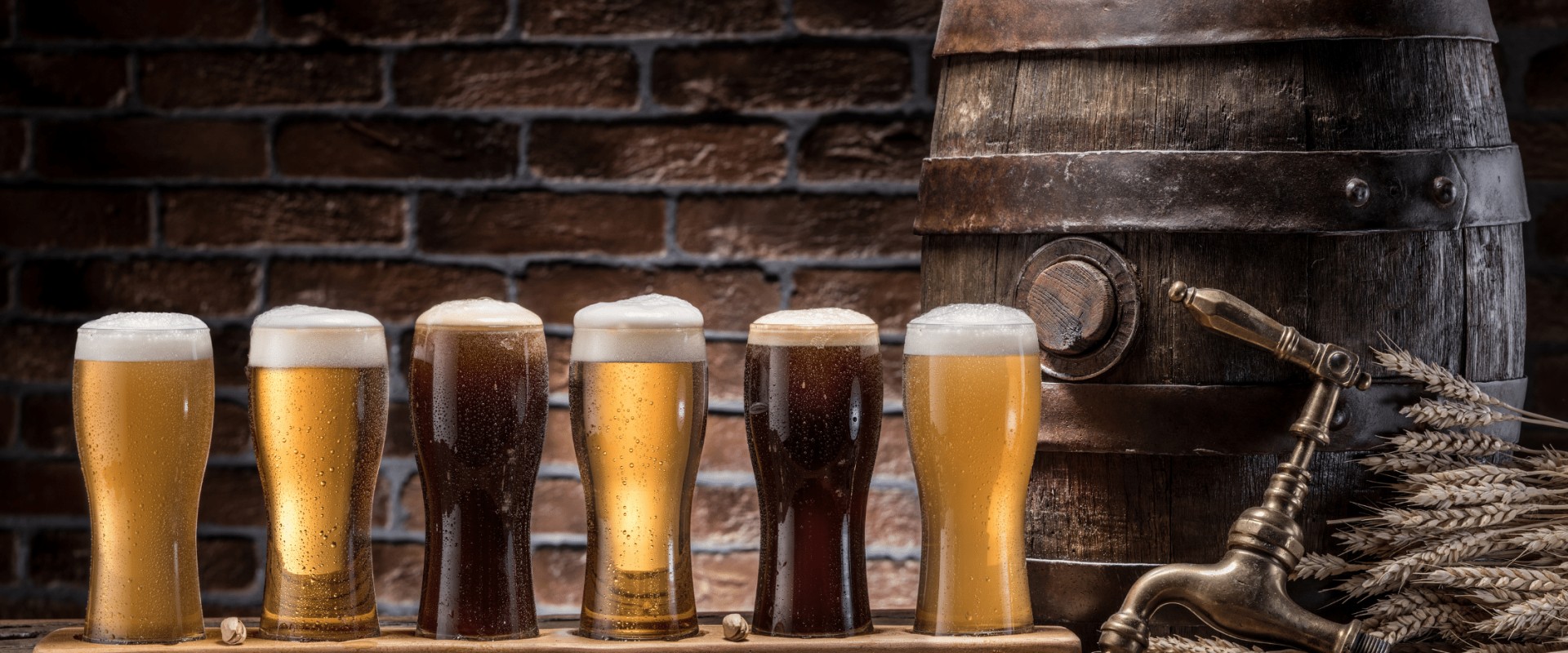 Can you tour yuengling tampa?