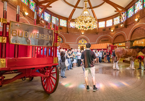How long is the budweiser brewery tour?